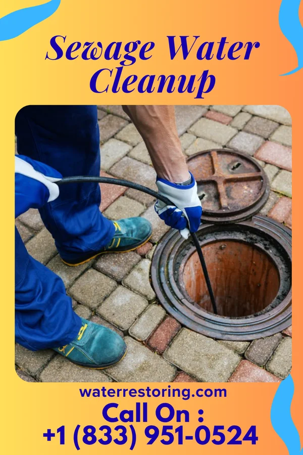 Sewage Water Cleanup in Hepburn, IA